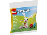 Easter Bunny with Colorful Eggs polybag